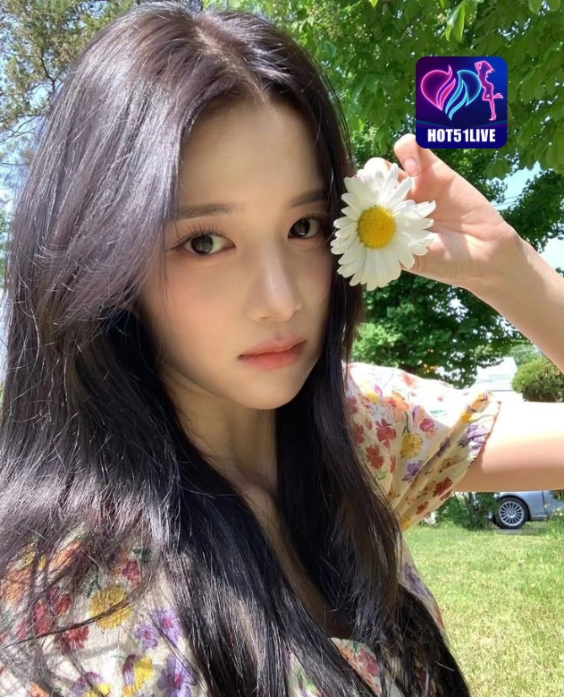 Yogi Avianca HOT51LIVE